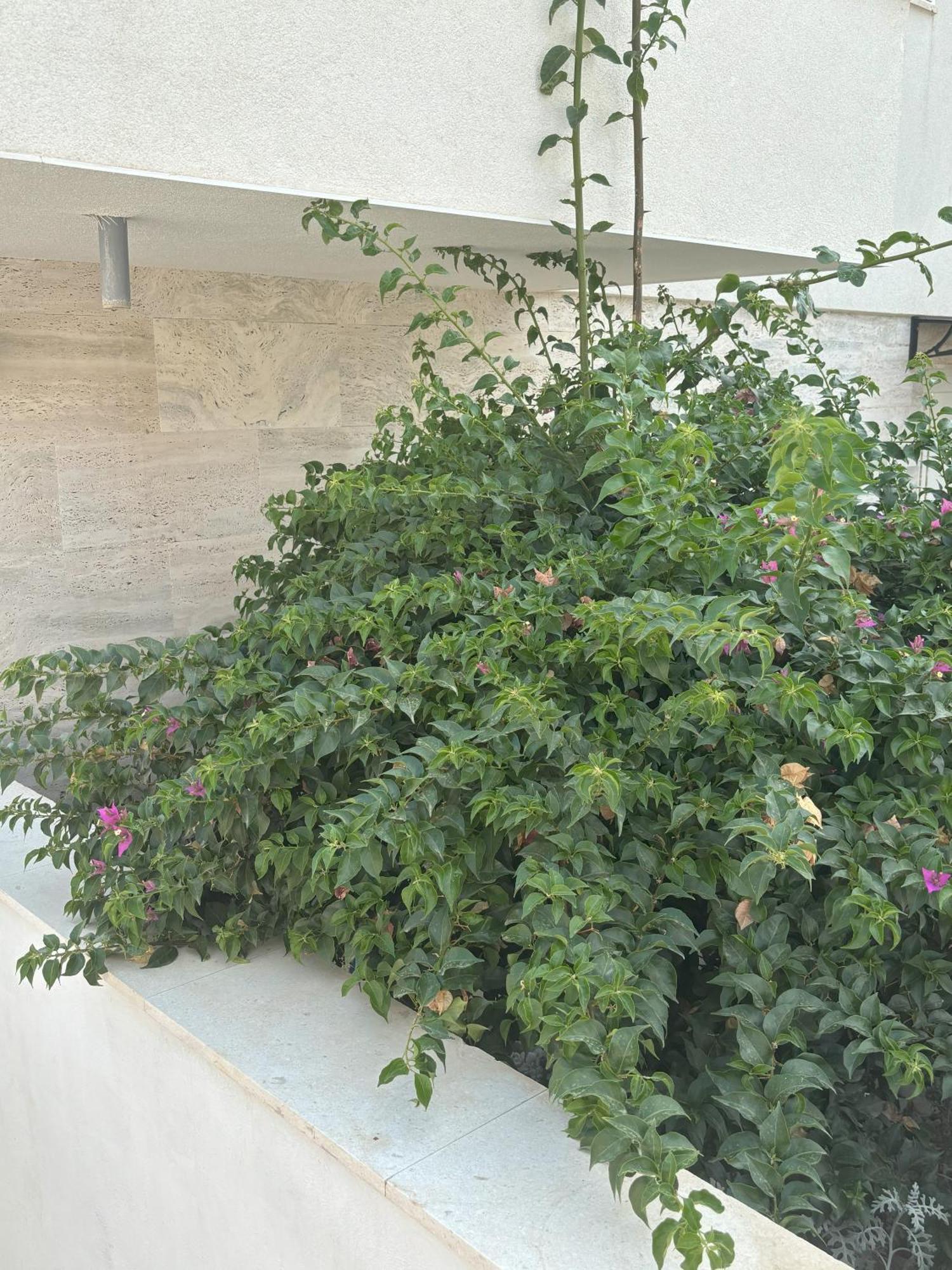 Vila Regina Apartment Rex With Swimming Pool Jezera Extérieur photo