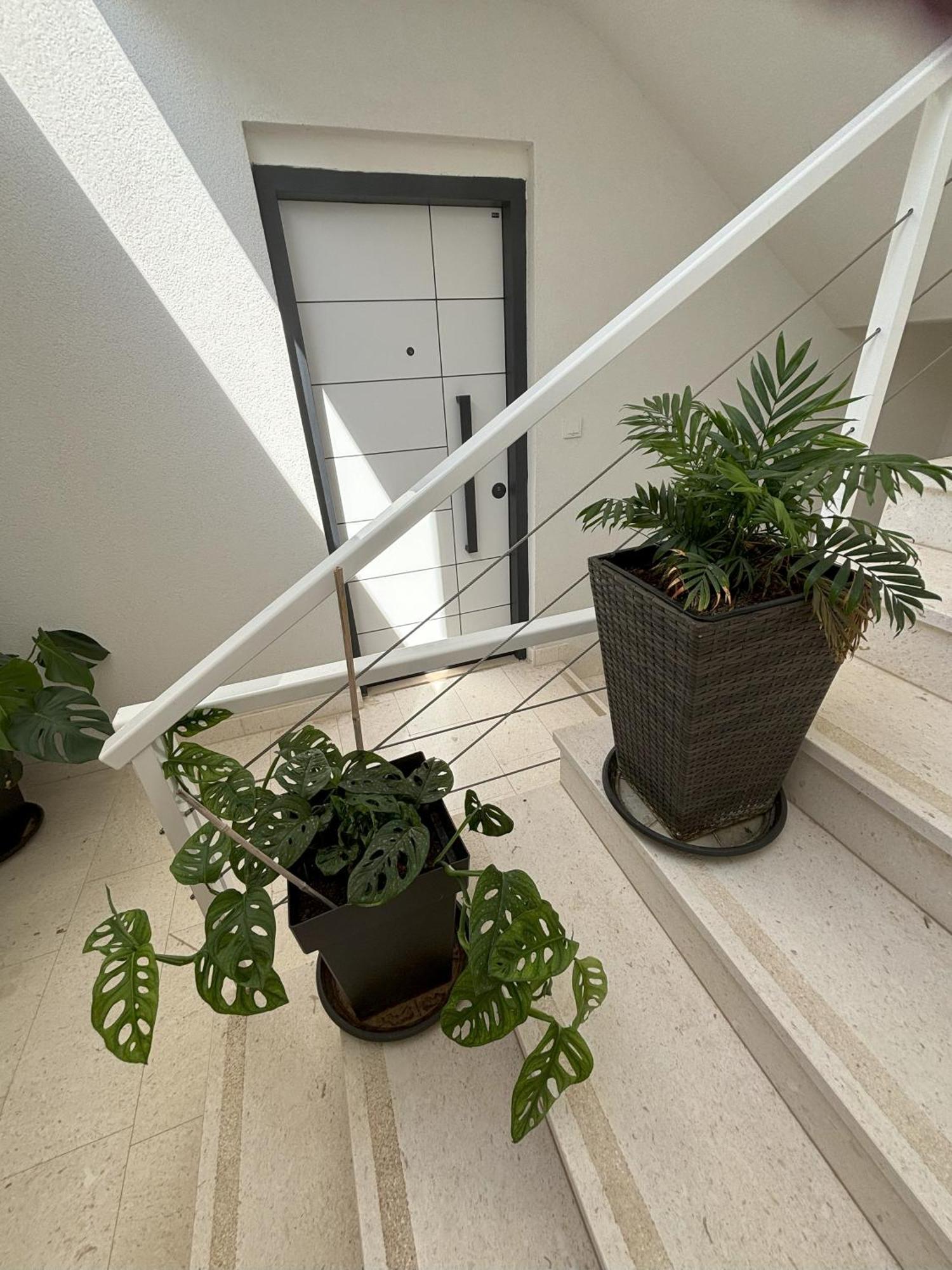 Vila Regina Apartment Rex With Swimming Pool Jezera Extérieur photo